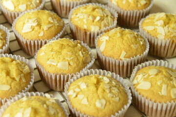 Fresh Homemade Pumpkin Cake on cooling rack