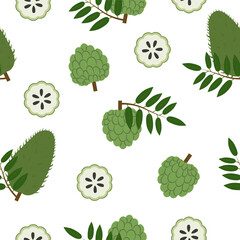 Annona, Sugar Apple. Seamless Vector Patterns