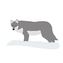 Wolf Illustration