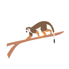Squirrel Monkey Illustration