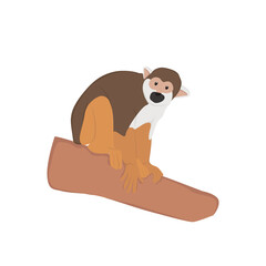 Squirrel Monkey Illustration