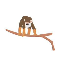 Squirrel Monkey Illustration