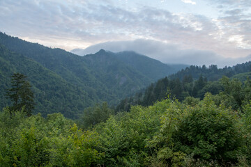 Fototapeta na wymiar Es un paisaje de un hermoso lugar en el estado de Tennesse Great Smoky Mountains, United States 
