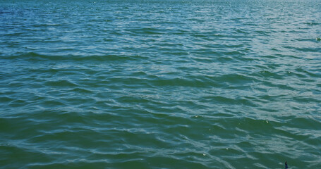 Sea surface water wave texture