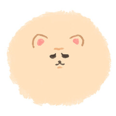Obraz premium ふてくされたポメラニアン