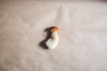 Top view of a single Mushroom Boletus. Boletus edulis over Craft paper Background, close up