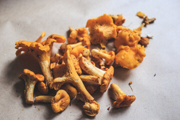 Mushroom chanterelles over craft paper Background. Autumn Cep Mushrooms. close up on wood rustic table. Gourmet food.
