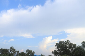Fototapeta premium Beautiful Clear Water Vapour clouds and tree in the blue sky background