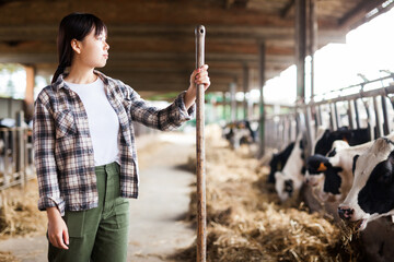 Portrait of chinese female farmer who is standing at her workplace near cows at the farm outdoors .