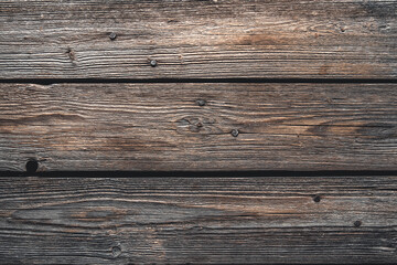 Fototapeta premium texture of bark wood use as natural background