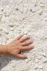 beautiful female hand on the white sand on the beach