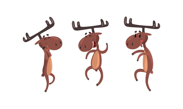 Set of Funny Brown Moose in Various Poses Set, Cute Elk Cartoon Character Dancing on its Hind Legs Cartoon Style Vector Illustration