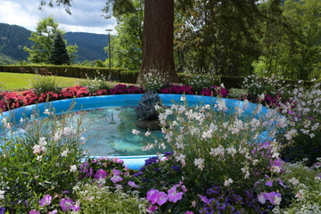 Brunnen am Schloss Hornberg i Schwarzwald