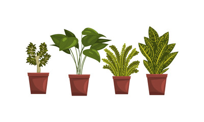 Indoor House Plants in Flowerpots Set, Home or Office Interior Decoration Vector Illustration
