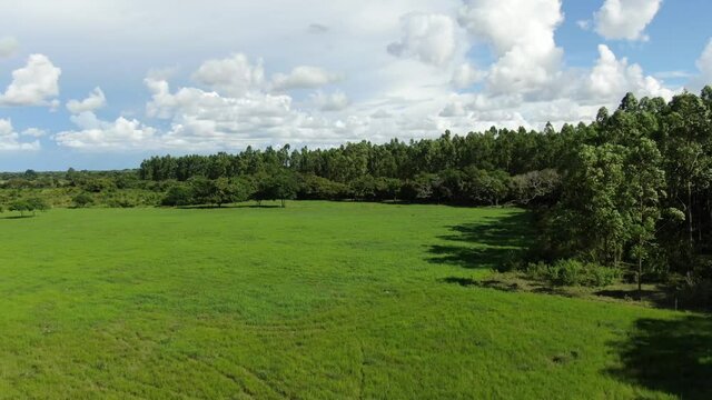View of a drone on a meadow that has some trees that are moved by the determined wind in the background of the image, also sees the sky with its white clouds and blue background