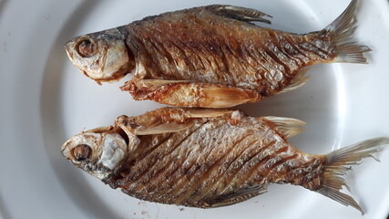 Fried fish on a white plate, top view