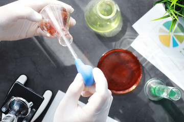 Fototapeta premium Laboratory research. Drug testing. Chemical experiments in the laboratory. Microscope various test tubes and beakers on the table at the medical officer.
