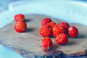 Wild strawberry berries on tree bark