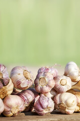 Fresh organic garlic on a wooden table, selective focus.