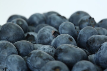 Fresh blueberries macro close up