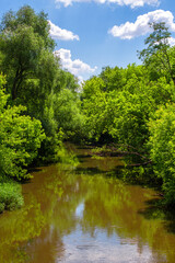 Fototapeta na wymiar Yellow river in the green forest