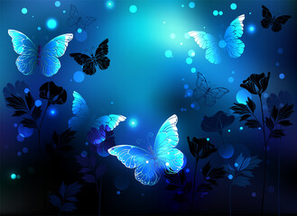 Fototapeta na wymiar Midnight butterflies