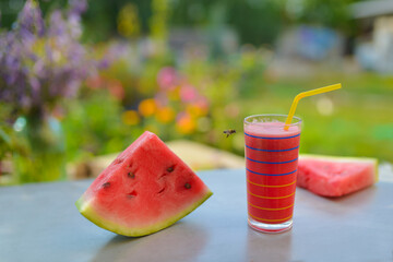 Bee tastes watermelon fresh juice