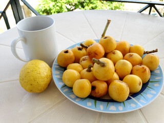 Fresh organic loquat harvesting in summer season. Fresh loquats in a plate on the table.