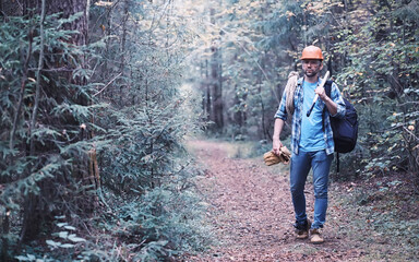 Male lumberjack in the forest. A professional woodcutter inspects trees for felling.