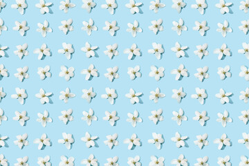 Apple tree floral pattern. Bright summer background. Spring white fruit flowers. Repeat spring texture. Creative trend composition. Many springtime elements. Blank may layout. Blue