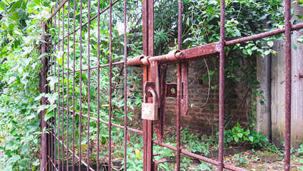 Closed Iron Gate with lock. Padlock on Iron Gate