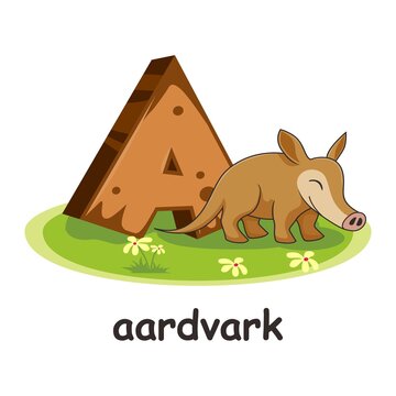 Aardvark Wooden Alphabet Education Animals Letter A