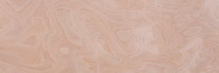 Poster Im Rahmen Natürlicher hellbeiger Eschenfurnierhintergrund für Ihr klassisches Design. Lange Planke Textur. Holzmuster. © Dmytro Synelnychenko