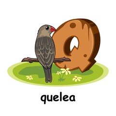 Quelea Bird Cartoon 3D Wood Alphabet Animals Letter Q