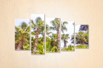 Five canvas set isolated on light yellow painted wall with palms view posters