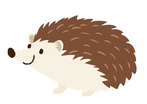 ハリネズミ Images Browse 1 181 Stock Photos Vectors And Video Adobe Stock