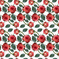 Seamless pattern with pink rose flowers and green leaves on white background. Endless colorful floral texture. Raster illustration.