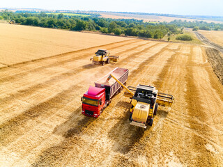 Aerial drone view. Overloading grain from combine harvesters into grain truck in field. Harvester unloder pouring harvested wheat into a box body. Farmers at work. Agriculture harvesting season. © artiemedvedev