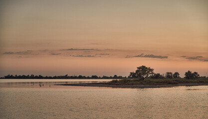 small island in the pond with a lonely tree during golden hour