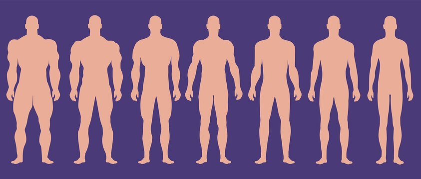 Man silhouettes with different muscle degrees.
