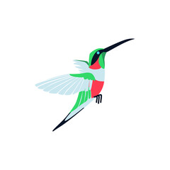 Flying bright tropical hummingbird. Beautiful bird with colored feathers and wings. Tropical nature wildlife design element cartoon vector illustration isolated on white background