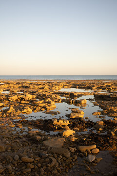 213 Best Jard Sur Mer Images Stock Photos Vectors Adobe Stock