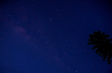 Fototapeta na wymiar astrophotography thousands of sparkling stars adorn the dark night 
