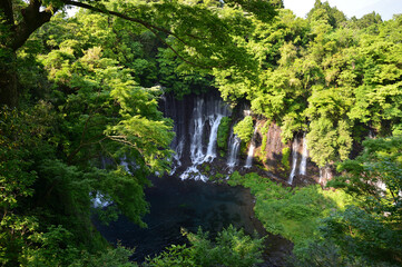 Fototapeta na wymiar 富士・白糸の滝