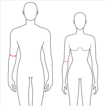 Women and men to do elbow measurement fashion Illustration for size chart. 7.5 head size girl and boy for site or online shop. Human body infographic template for clothes. 