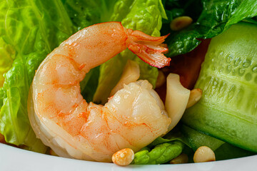 Macro photo of shrimp in salad with cucumber, arugula and pine nuts