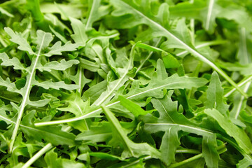 Fototapeta premium Fresh green arugula or ruccola slalad leaves texture background