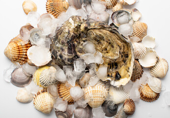 Fresh Oysters, Molluscs and Mussels in Seafood Restaurant