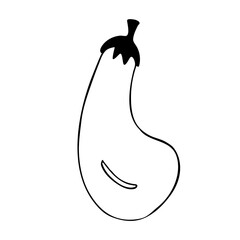 Vector doodle illustration of eggplant or aubergine. Hand drawn healthy farm vegetable isolated on white background. Organic veggie grown in the garden.