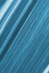 Fototapeta premium Blue tinted floral background. Striped leaf of reed canary grass close-up. Natural textured backdrop or wallpaper from plant leaves. Vertical shot. Macro